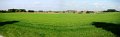 Panorama 4